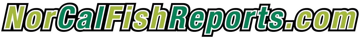 Nor Cal Fish Reports